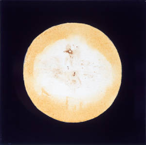 luna7.jpg